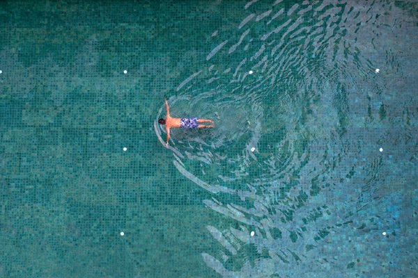 Acheter une brouette pour le jardin: vers quelles boutiques se tourner?